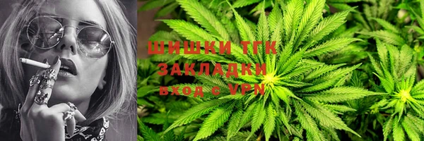 дмт Алзамай