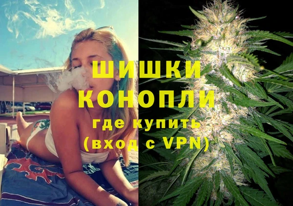 дмт Алзамай