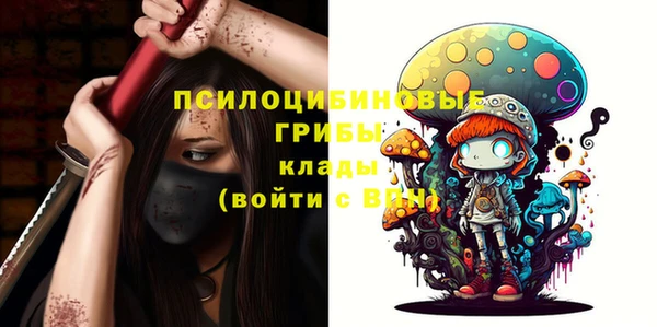 стаф Осташков