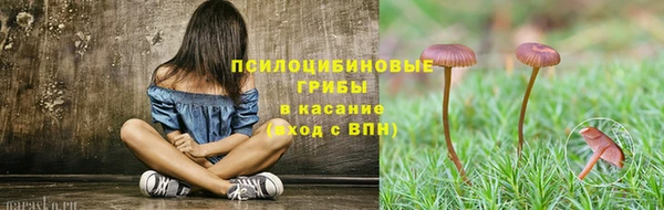 дмт Алзамай