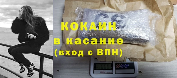 стаф Осташков