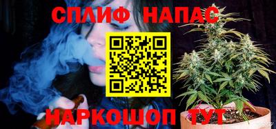 spice Обь