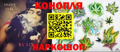 spice Обь