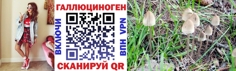 Галлюциногенные грибы MAGIC MUSHROOMS Туймазы