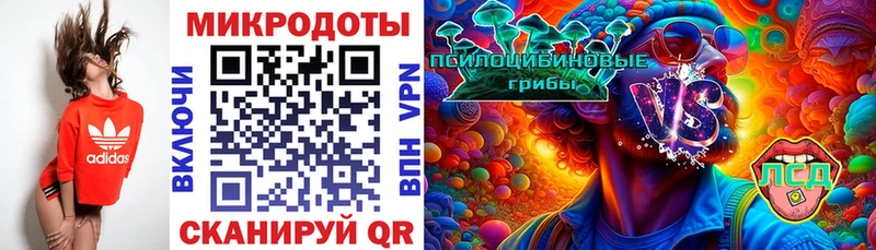 Псилоцибиновые грибы GOLDEN TEACHER  blacksprut зеркало  Туймазы 