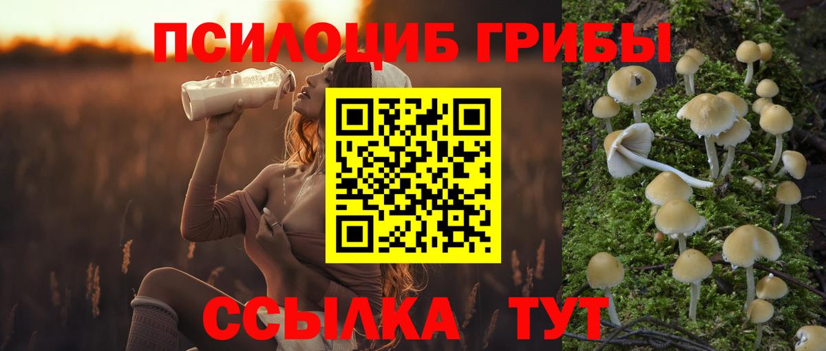 Псилоцибиновые грибы MAGIC MUSHROOMS Туймазы