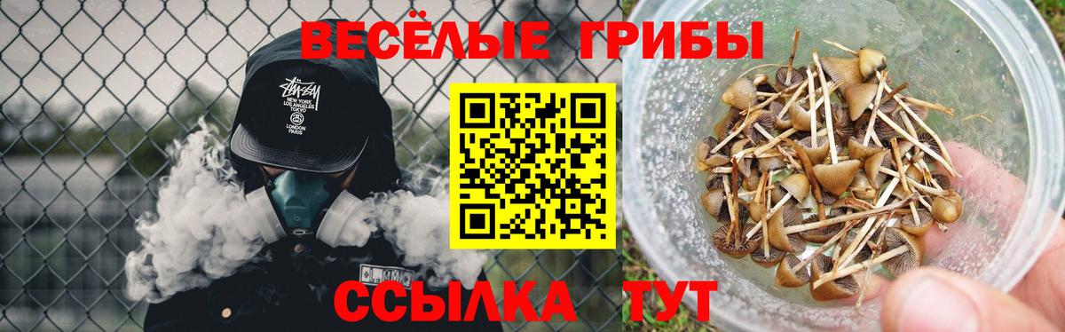 Псилоцибиновые грибы мухоморы  Вход с VPN  Псилоцибиновые грибы Magic Shrooms  Туймазы 